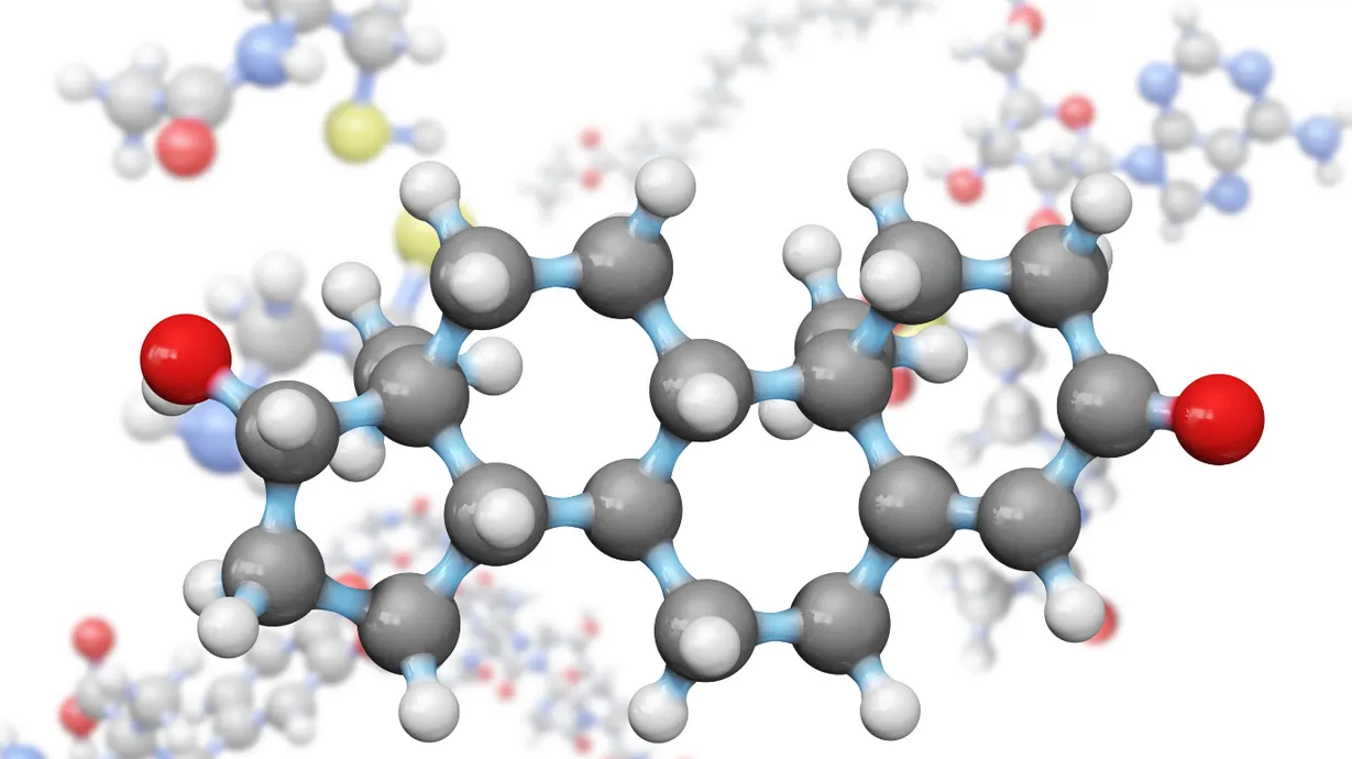 Medical professional explaining metabolic hormones